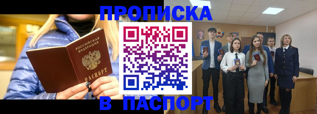 временная регистрация поиск в Новгородской области