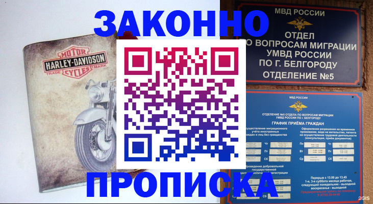 прописка для школы в Новгородской области